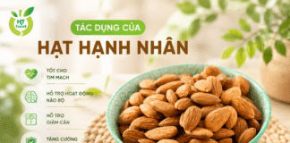 7 tác dụng tuyệt vời của hạt hạnh nhân: Bí quyết sống khỏe! 7 cong dung cua hat hanh nhan