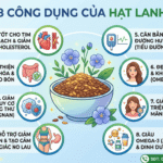 Công dụng của hạt lanh là gì? Mua hạt lanh ở đâu uy tín? 8 cong dung cua hat lanh