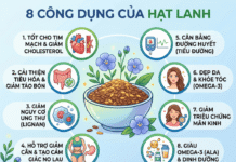 Công dụng của hạt lanh là gì? Mua hạt lanh ở đâu uy tín? 8 cong dung cua hat lanh