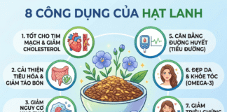 Công dụng của hạt lanh là gì? Mua hạt lanh ở đâu uy tín? 8 cong dung cua hat lanh