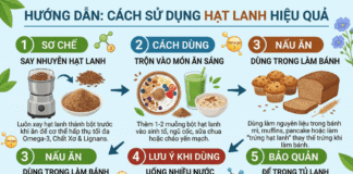 Cách sử dụng hạt lanh và lưu ý khi sử dụng hạt lanh cần biết! Cac cach su dung hat lanh hieu qua