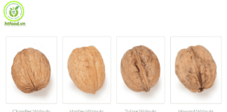 Các dòng quả óc chó Mỹ | Tổng hợp những dòng quả óc chó Mỹ