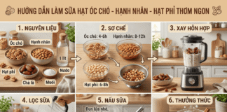 Cách làm sữa óc chó, hạnh nhân & hạt phỉ thơm ngon, bổ dưỡng!