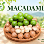 Công dụng của hạt mắc ca và những lưu ý khi sử dụng mỗi ngày Cong dung cua hat mac ca la gi
