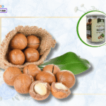 Công Dụng Của Hạt Mắc Ca – “Siêu Hạt” Hay Chỉ Là Chiêu Trò?