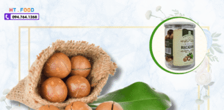 Công Dụng Của Hạt Mắc Ca – “Siêu Hạt” Hay Chỉ Là Chiêu Trò?