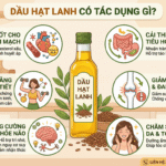 Dầu hạt lanh có tác dụng gì? Lợi ích sức khoẻ bạn nên biết! Dau hat lanh co tac dung gi tot