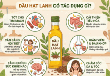 Dầu hạt lanh có tác dụng gì? Lợi ích sức khoẻ bạn nên biết! Dau hat lanh co tac dung gi tot