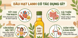Dầu hạt lanh có tác dụng gì? Lợi ích sức khoẻ bạn nên biết! Dau hat lanh co tac dung gi tot