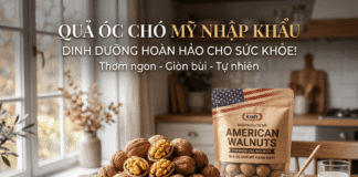 Quả óc chó là gì? Giải mã “vua của các loại hạt” giàu Omega-3 Gioi thieu ve qua oc cho My