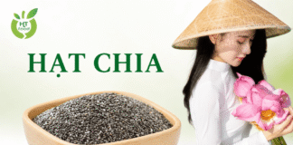 Hạt chia mua ở đâu uy tín và phù hợp với nhu cầu sử dụng? Hat chia mua o dau uy tin
