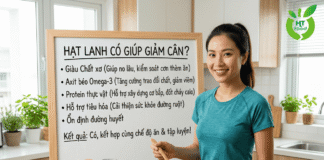Hạt lanh giúp giảm cân như thế nào? Tìm hiểu công dụng!