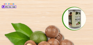 Hạt Macca Mua Ở Đâu Bắc Ninh? Gợi Ý Địa Chỉ Uy Tín – Giá Tốt