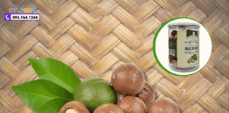 Hạt Macca Mua Ở Đâu Cần Thơ? Gợi Ý Địa Chỉ Ngon – Uy Tín!