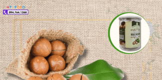 Mua Hạt Macca Tại Đắk Lắk: 4 Mẹo Chọn Hàng Chuẩn