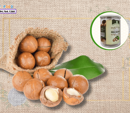 Mua hạt macca ở đâu Đắk Lắk thơm ngon, không hôi dầu? Hat mac ca Dak Lak