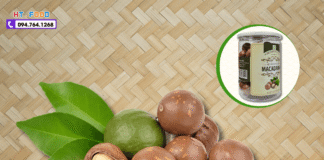 Hạt Macca Mua Ở Đâu Đồng Nai? Top Địa Chỉ Uy Tín!