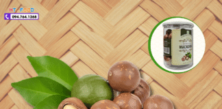 Hạt Macca Mua Ở Đâu Đồng Tháp? Chọn Đúng – Ăn Ngon