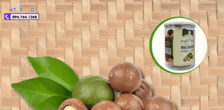 Hạt Macca Mua Ở Đâu Gia Lai? 5 Sự Thật Người Mua Nên Biết