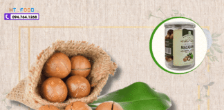 Mua Hạt Macca Ở Đâu Hải Phòng? 3 Địa Chỉ Thử Mua Đáng Tiền!