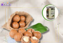 Hạt macca mua ở đâu Huế? Hành trình tìm vị ngon chuẩn! Hat mac ca Hue