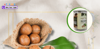 Hạt Macca Mua Ở Đâu Huế? Hành Trình Tìm Vị Ngon Chuẩn!