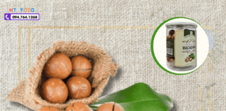 Hạt Macca Khánh Hòa: Giá Bao Nhiêu, Mua Ở Đâu Tốt?