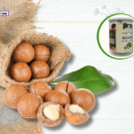 Bí Quyết Mua Hạt Macca Ở Lào Cai: 5 Tiêu Chí Chọn Hàng Chuẩn!