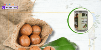 Bí Quyết Mua Hạt Macca Ở Lào Cai: 5 Tiêu Chí Chọn Hàng Chuẩn!