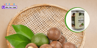 Bí Quyết Mua Hạt Macca Nghệ An: Tránh 7 Bẫy Thường Gặp