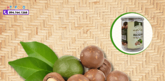 Hạt Macca Mua Ở Đâu Quảng Ngãi? Top 3 Địa Chỉ Uy Tín!