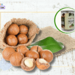 Hạt Macca Mua Ở Đâu Quảng Ninh? Gợi Ý 5 Điểm Bán Uy Tín!