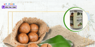 Hạt Macca Mua Ở Đâu Quảng Ninh? Gợi Ý 5 Điểm Bán Uy Tín!