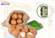 Hạt macca mua ở đâu tại Sơn La? Địa chỉ bán hạt macca loại 1