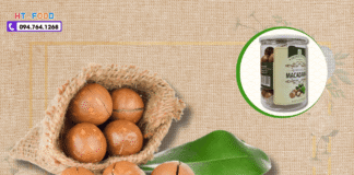 Hạt Macca Mua Ở Đâu Tây Ninh? 5+ Địa Chỉ Uy Tín