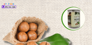 Hạt Macca Mua Ở Đâu Tại Thái Nguyên? Gợi Ý Địa Chỉ Uy Tín!