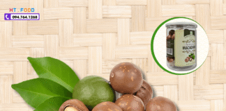 Hạt Macca Mua Ở Đâu Thanh Hóa? Gợi Ý Địa Chỉ Uy Tín