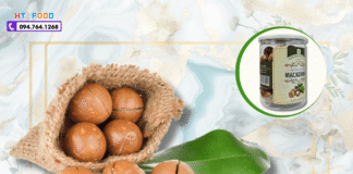 Mua Hạt Mắc Ca Ở Đâu Tuyên Quang? Gợi Ý Địa Chỉ Uy Tín!