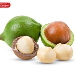 Hat macadamia ban o dau i1