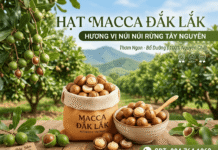 Cách sử dụng hạt macadamia và cách chế biến bạn chưa từng biết!