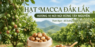 Cách sử dụng hạt macadamia và cách chế biến bạn chưa từng biết!
