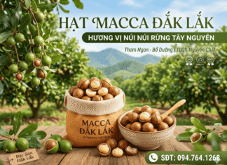 Cách sử dụng hạt macadamia và cách chế biến bạn chưa từng biết!