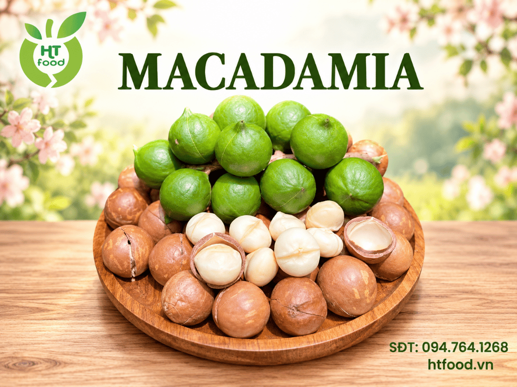 Hat macca Daklak tai Ha Noi loai ngon