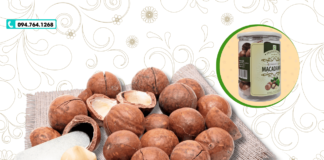 Địa chỉ bán hạt macca chất lượng tại Gò Vấp Tphcm – Đừng bỏ lỡ nhé!