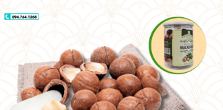 Mua hạt mắc ca ở Tân Bình – Địa chỉ uy tín giá rẻ & chất lượng cao