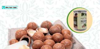 Mua hạt macca giá sỉ Tp Thủ Đức – Tphcm hạt size to!