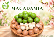 Hạt macca mua ở đâu tại Lạng Sơn chọn hạt ngon? Hat macca mua tai Lang Son uy tin