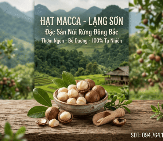 Hạt macca mua ở đâu tại Lạng Sơn? Hạt macca chính hãng! Hat macca tai Lang Son