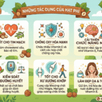 Hạt phỉ có tác dụng gì? Những lợi ích bất ngờ của hạt phỉ! Hat phi co tac dung gi