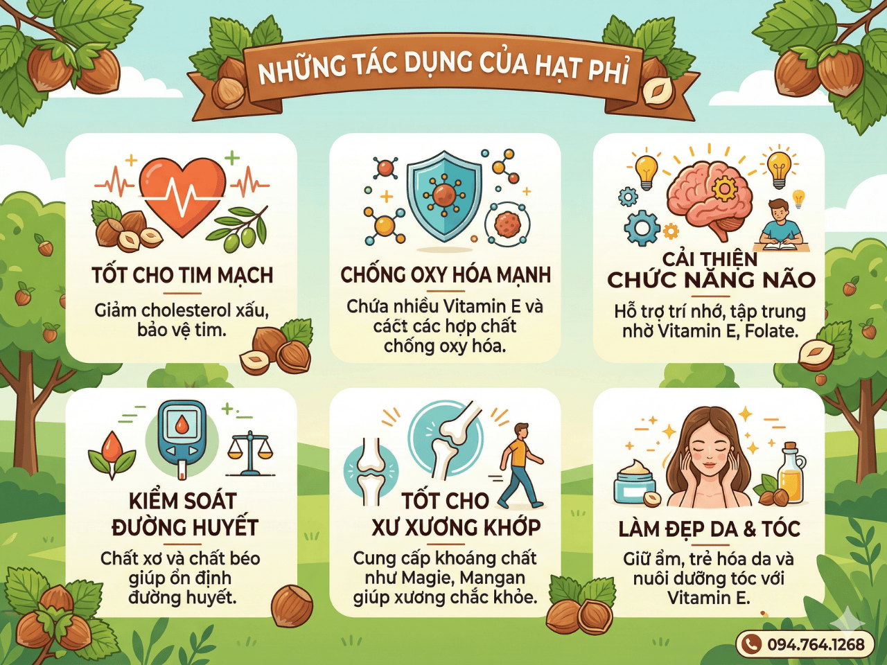 Hat phi co tac dung gi